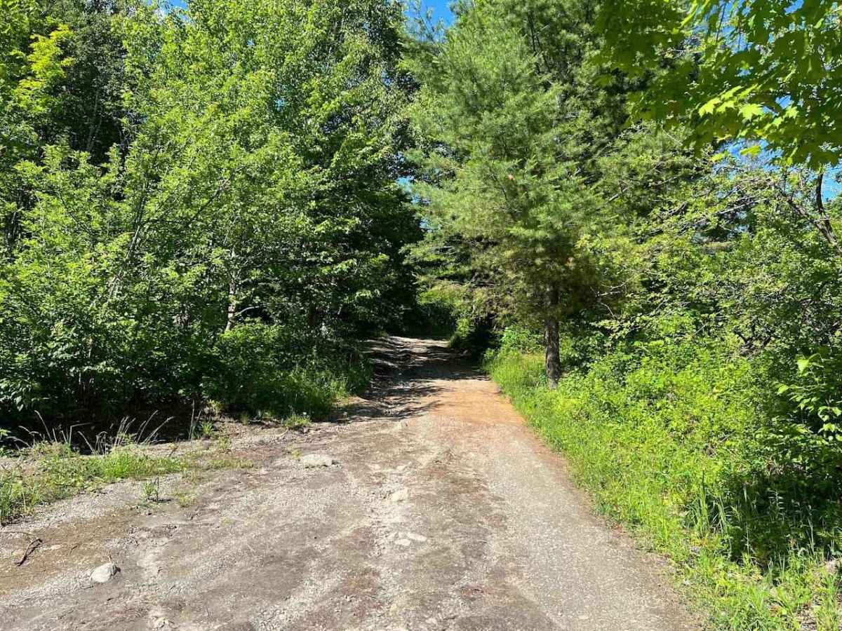 Wheeler Mountain Road photo 5