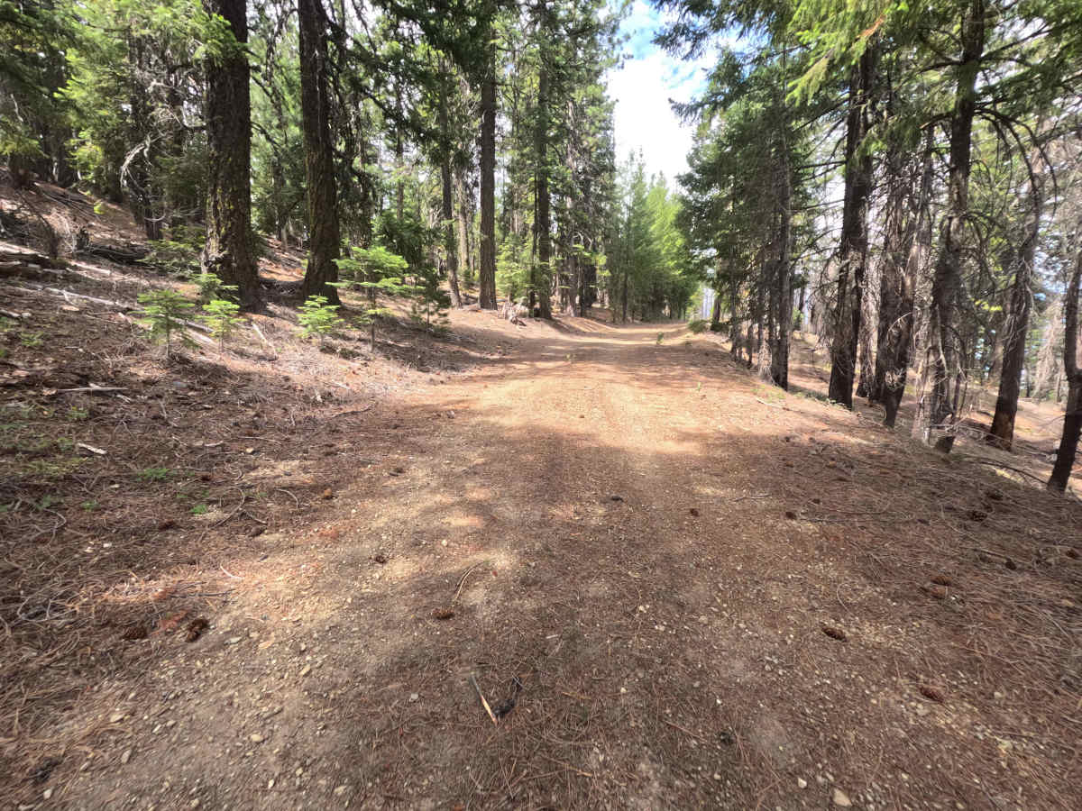 Brushy Camp Ridge - FS 19N02 photo 5