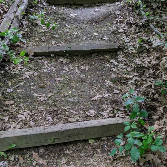 Railroad tie stairs on the way into the trail. Near Jericho Hill Red, White & Blue route
