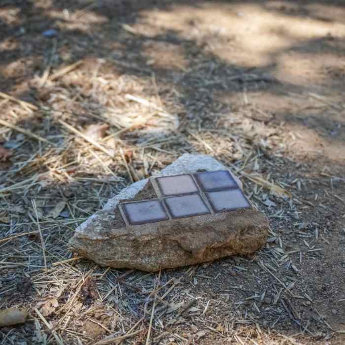 Near San Juan Creek Trail