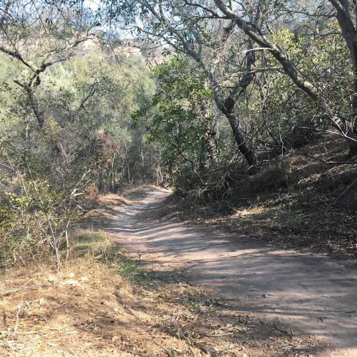 Near Vista Trail