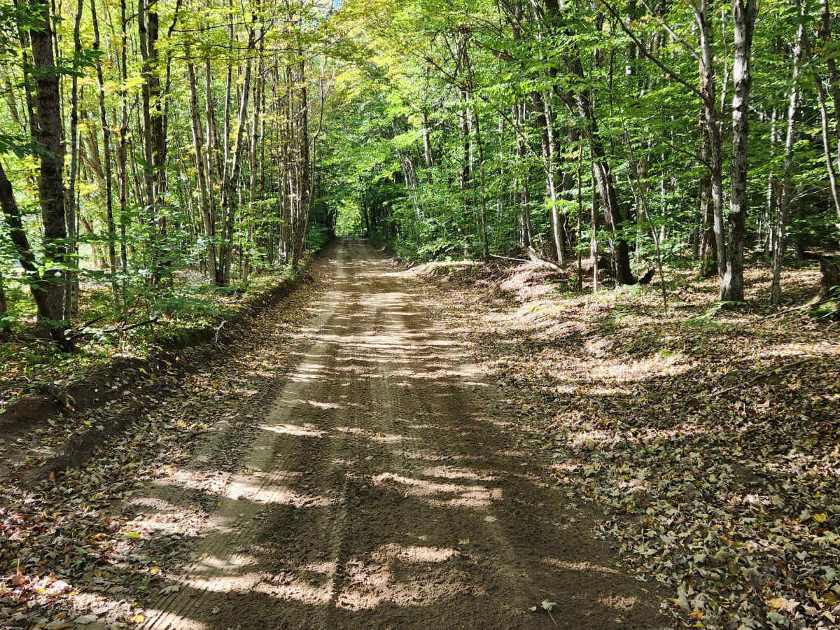 Military Road photo 4
