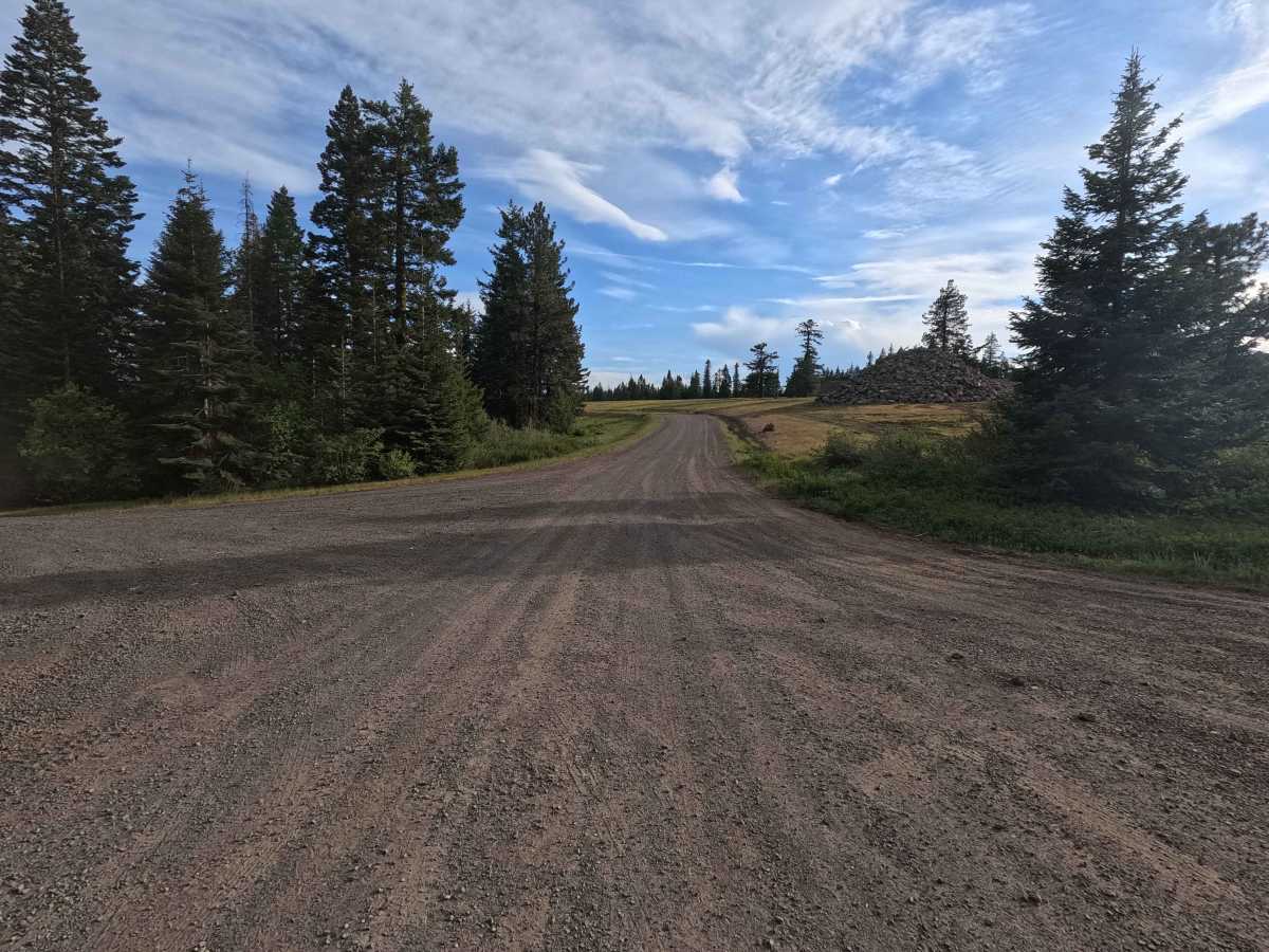 Skyline Road - FS 31 trail photo