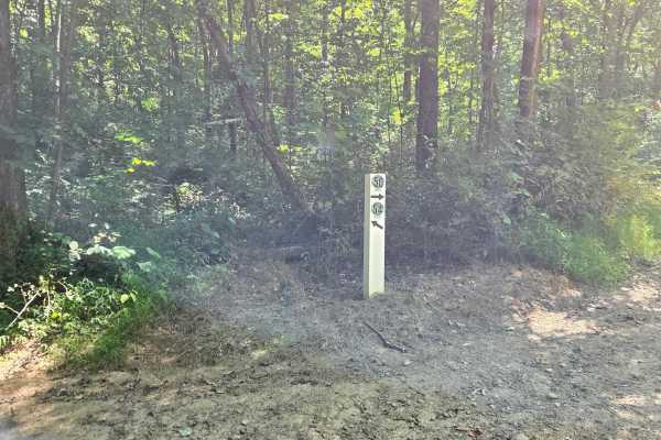 Trail 54 