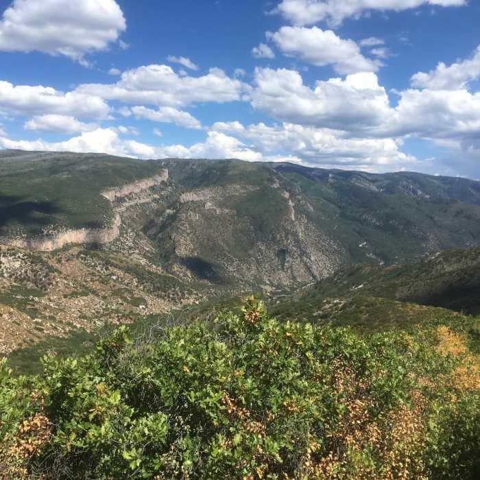 Near Mansfield Ditch Trail (FR 2291)