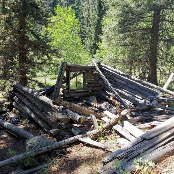 Near Mule Creek Trail