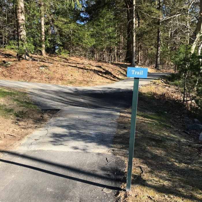 Near Blue Trail