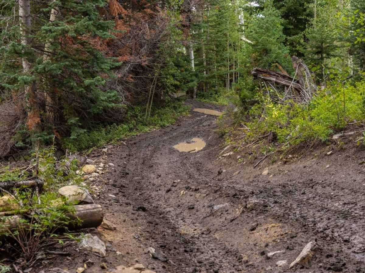 Cowboy Camp Road trail photo