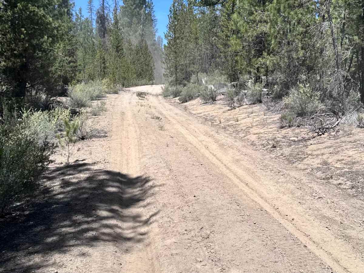 Dry Springs Trail - FS 4331000 photo 2