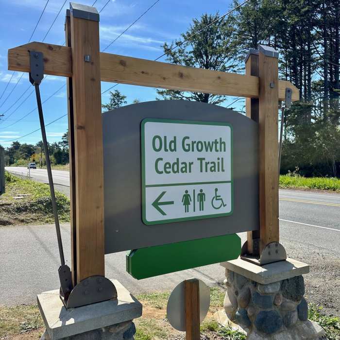 Near Old Growth Cedar Trail