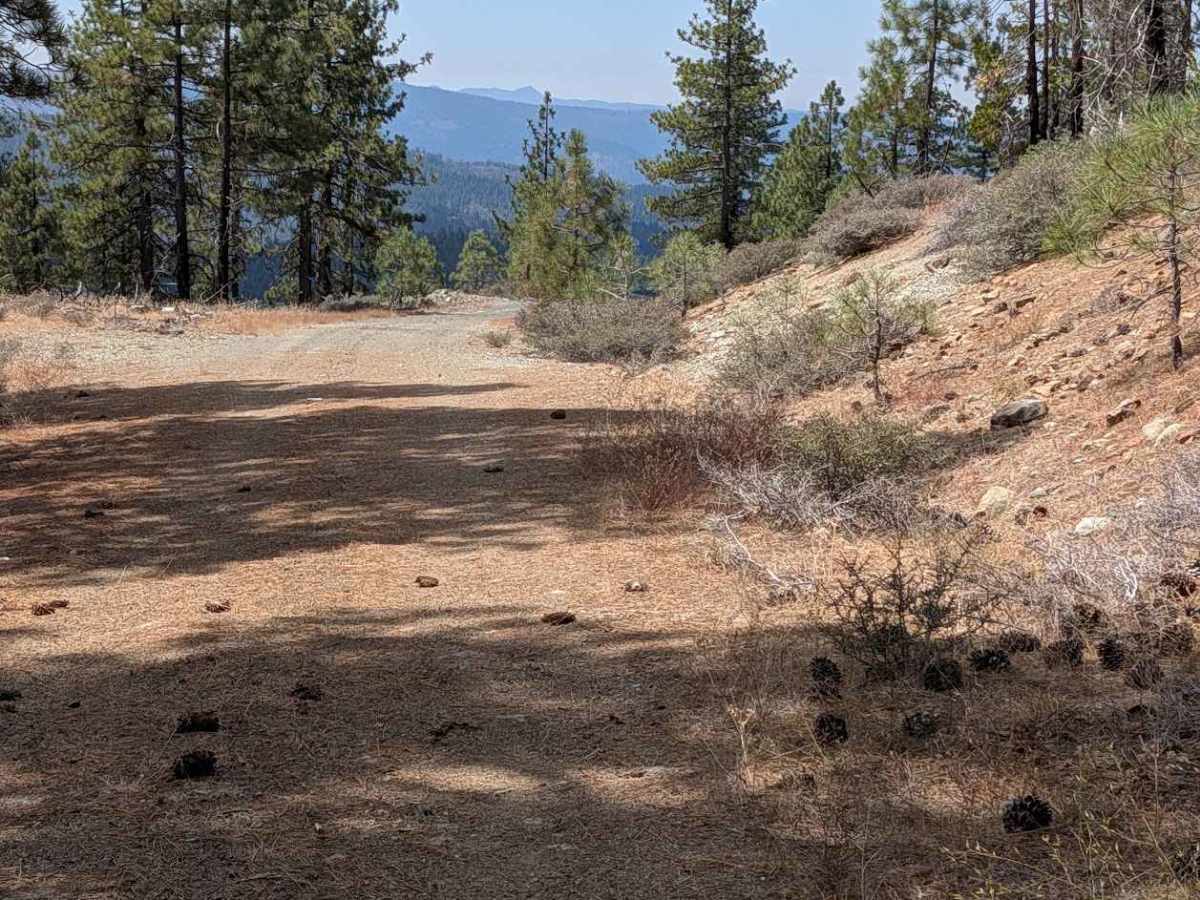 Blue Point Ridge Road - FS 30N28 photo 6
