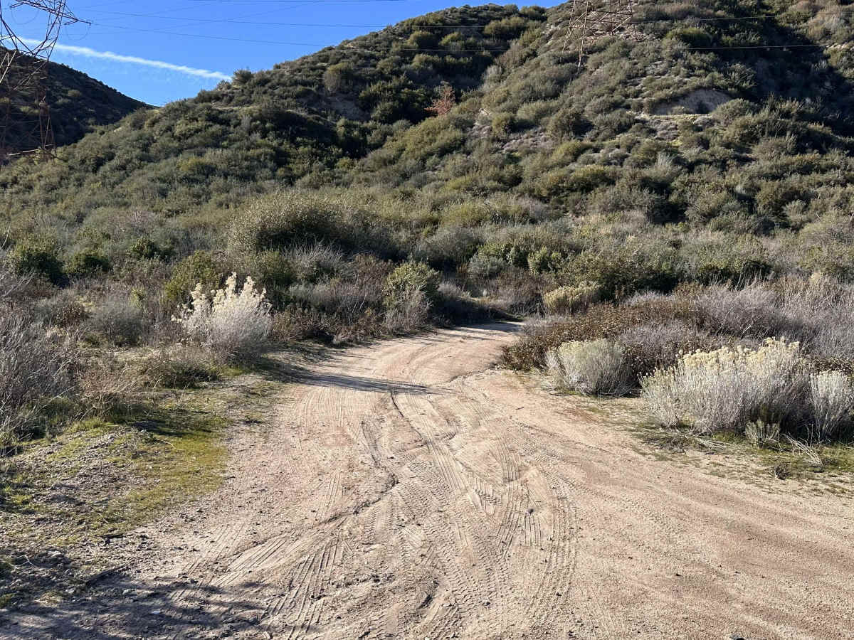 Old 3N49 Access Road trail photo