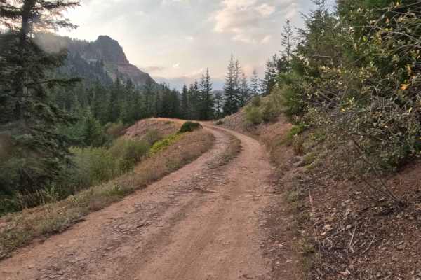 Coffin Mountain Road - FS 1168430