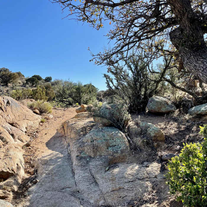 Near Continental Divide Trail: New Mexico Section 6