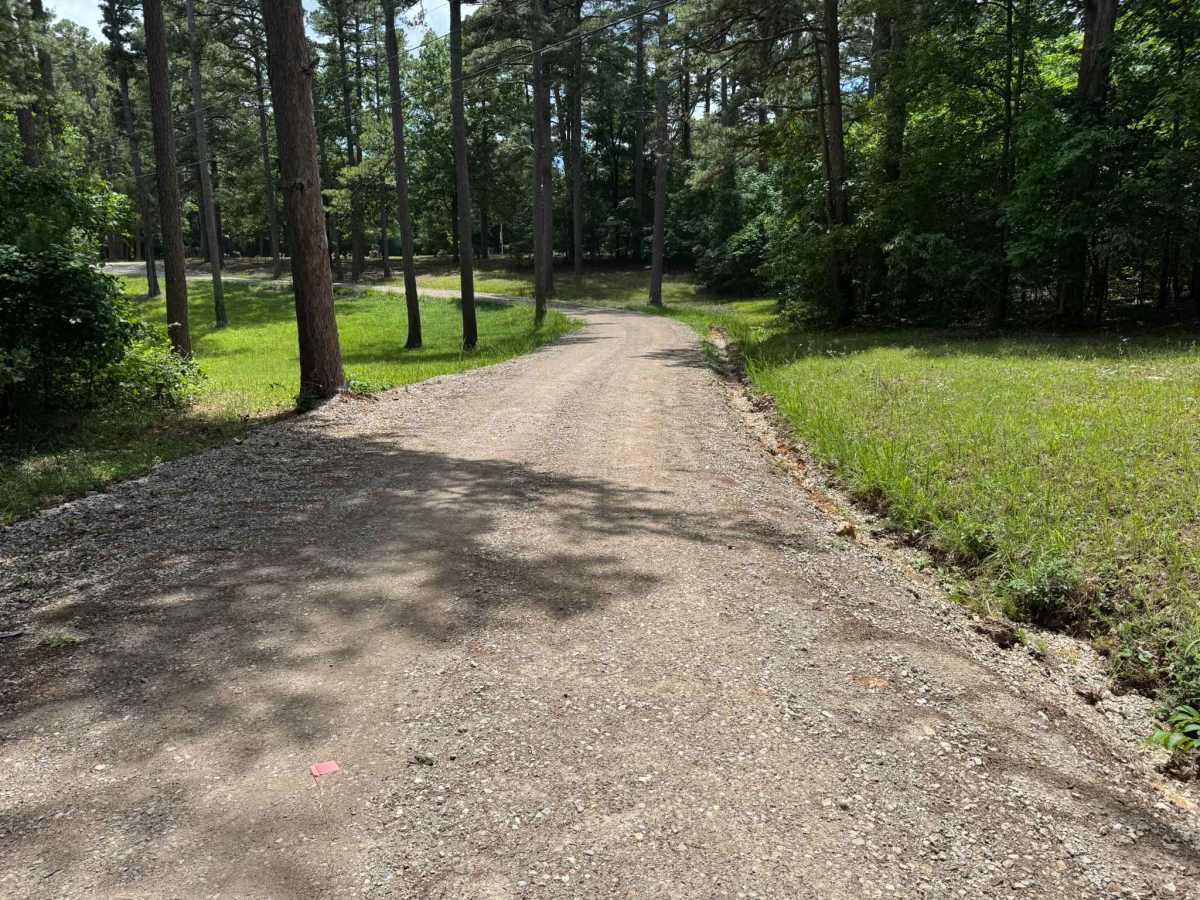 91013B trail photo