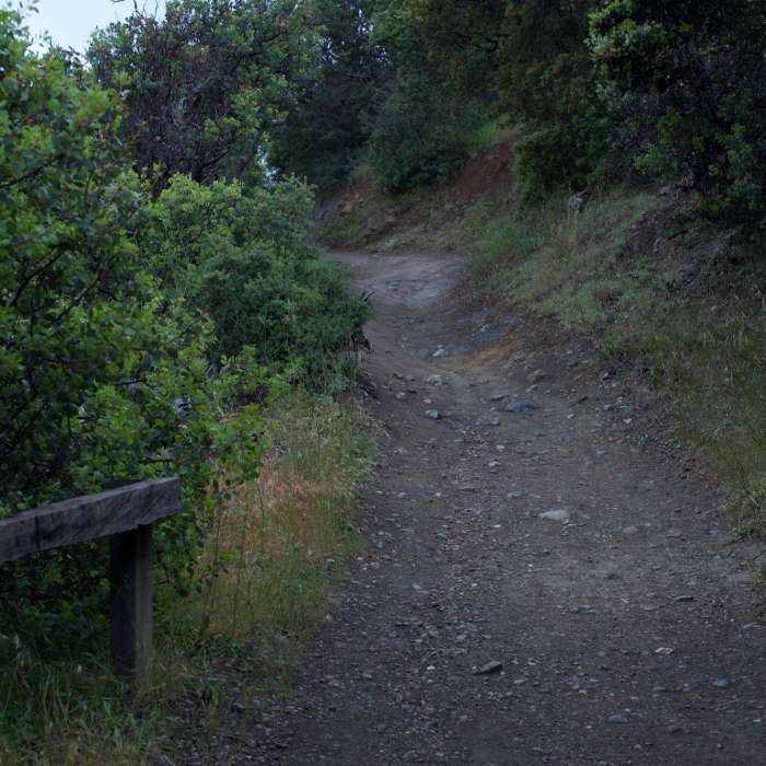 Climbing up a switchback, the trail becomes rockier, making trail running more difficult. Near Flume Trail