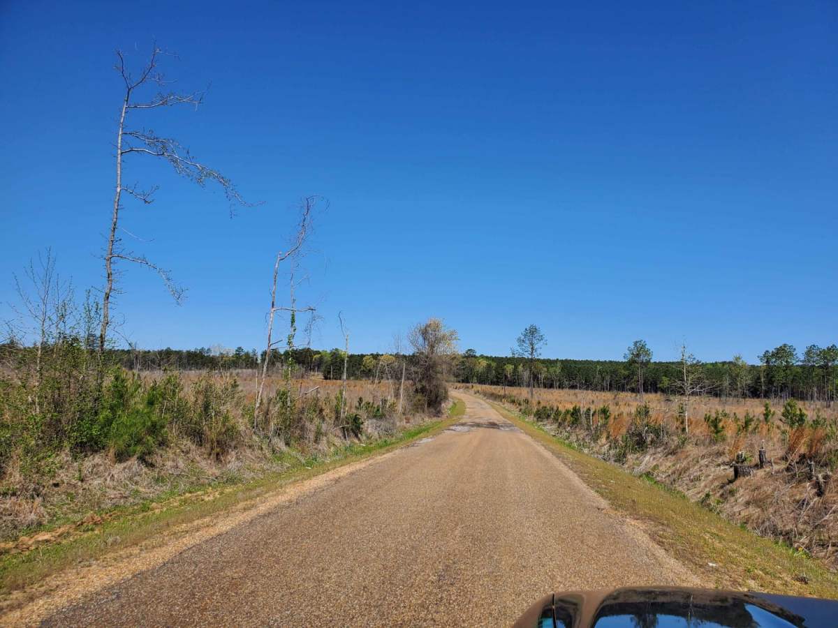 The Arkansas Overland Route - Section 1 - Falcon Bottoms Back Roads photo 6