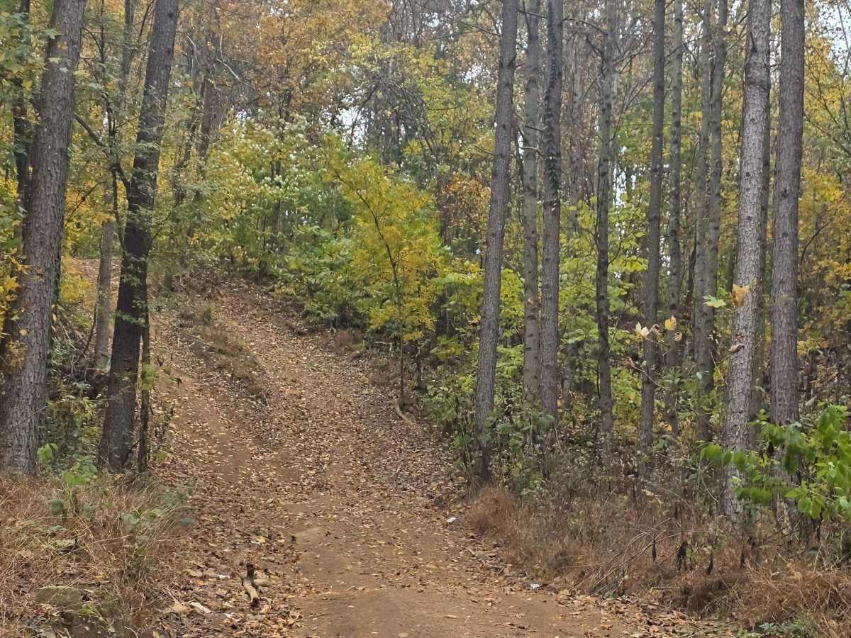Send It Hollow photo 4