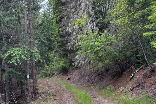 Contact Mountain - FS 3165-330