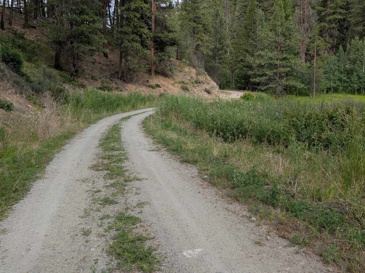 North Cook Mountain Road - South half photo 3