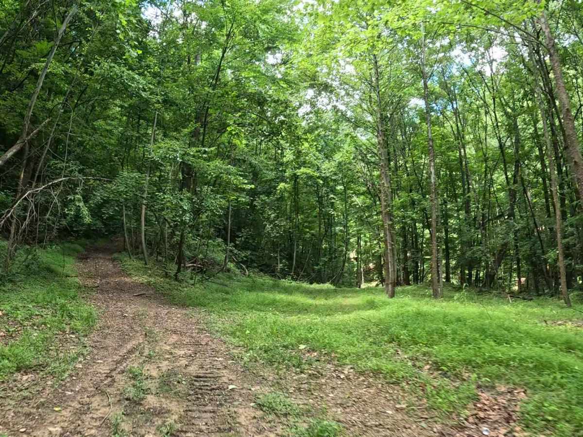 Q10C trail photo