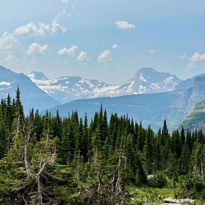 Near Continental Divide Trail: Montana-Idaho Section 29