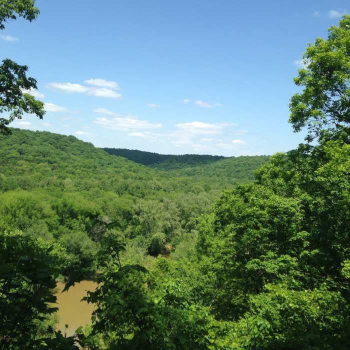 Photo taken from the observation deck on the Turnhole Bend Trail in May 2016. Near Turnhole Bend Nature Trail