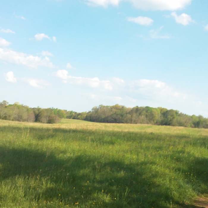 Near Manassas Battlefield Bridle Trail Loop