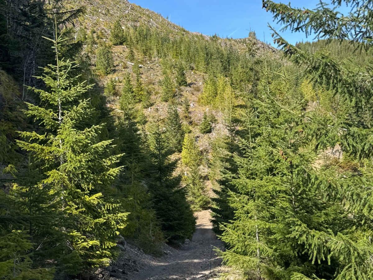 Winston Road- FS 7415 photo 6