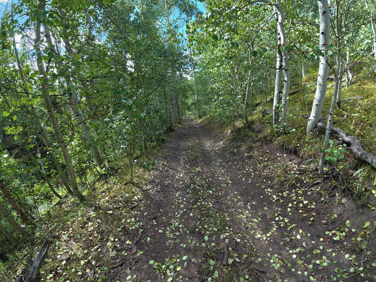 Beaver Lake Road photo 3