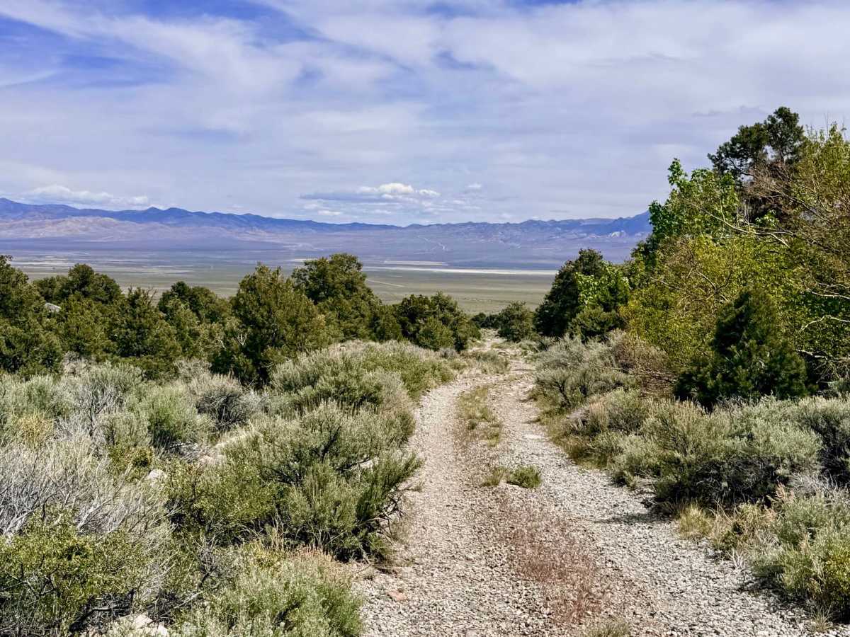 South Twin River - FS 44080 trail photo