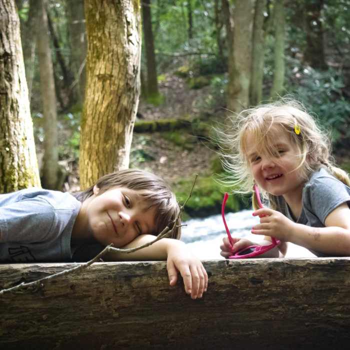 Near Little River Trail Near Little River Trail