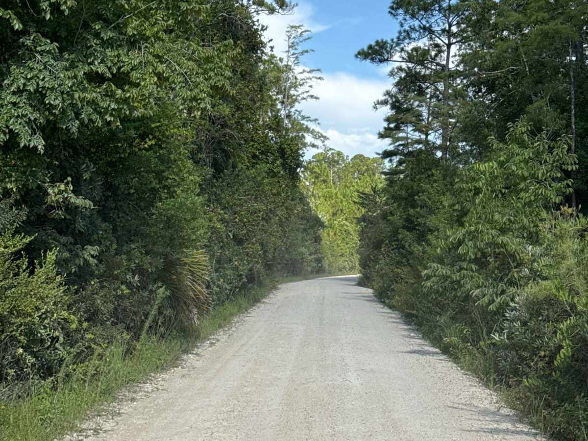 South Road photo 6
