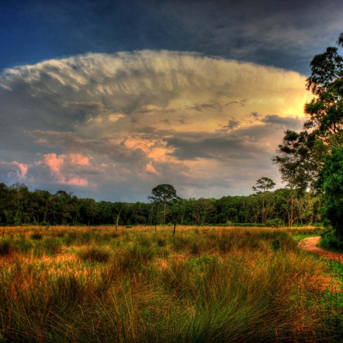 Near Guana Tolomato Matanzas 9-Miler