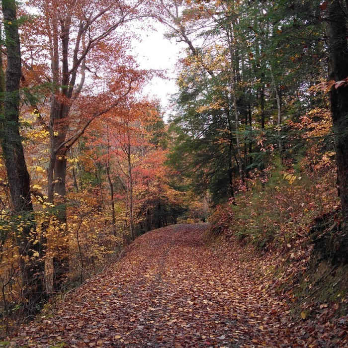 Near Michael D. Young Trail