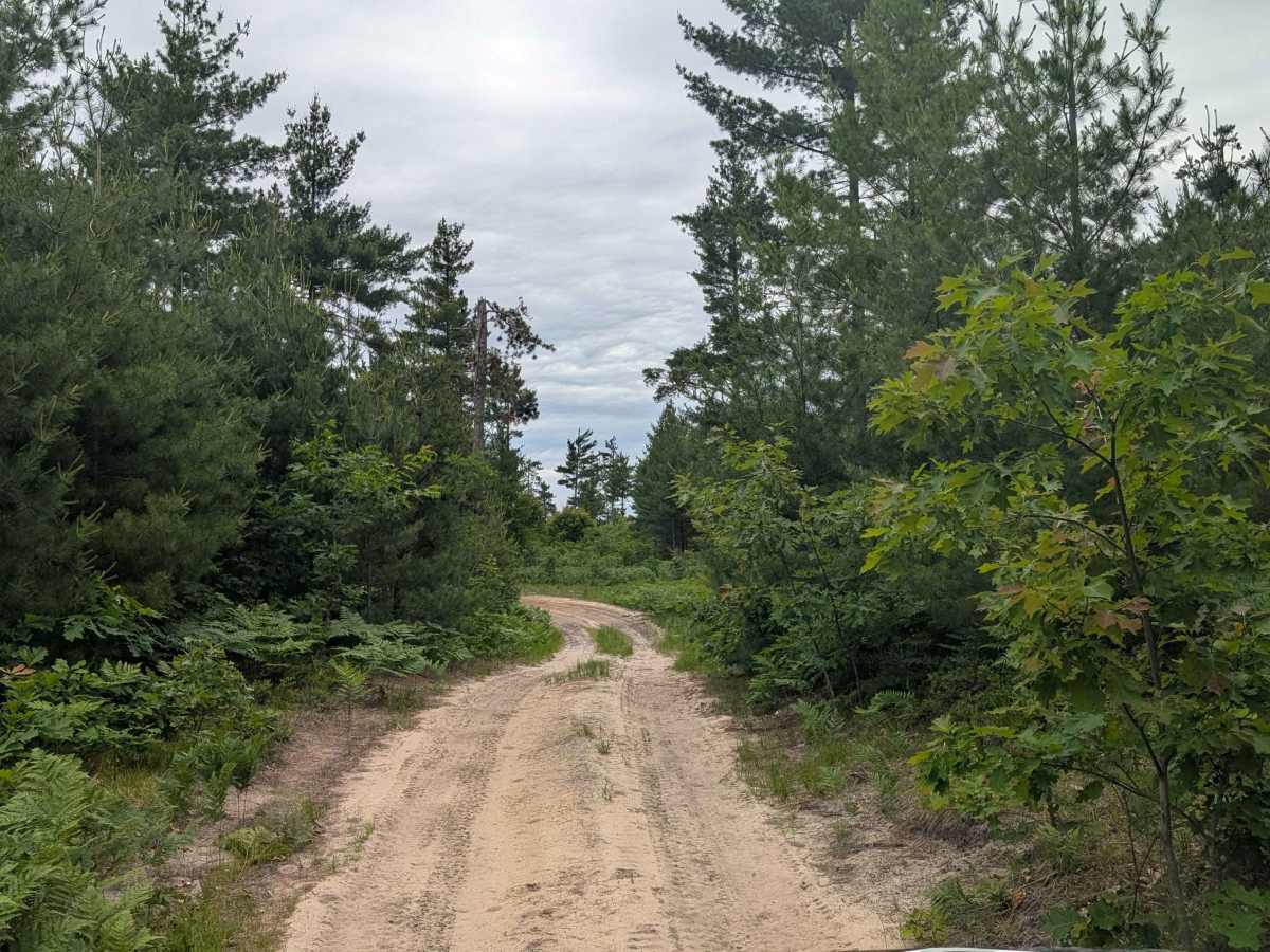 Lindquist Hill Military Trail photo 4