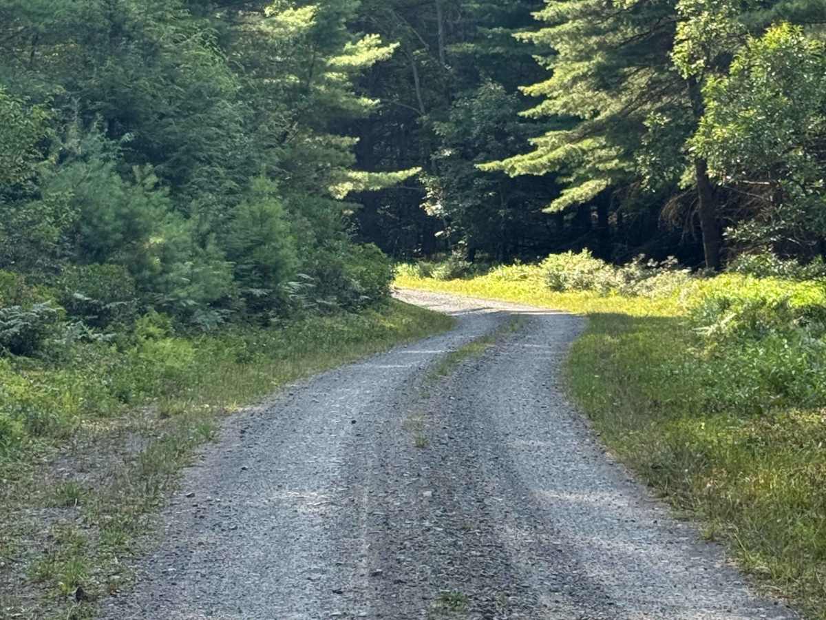 Pine Run Road photo 4