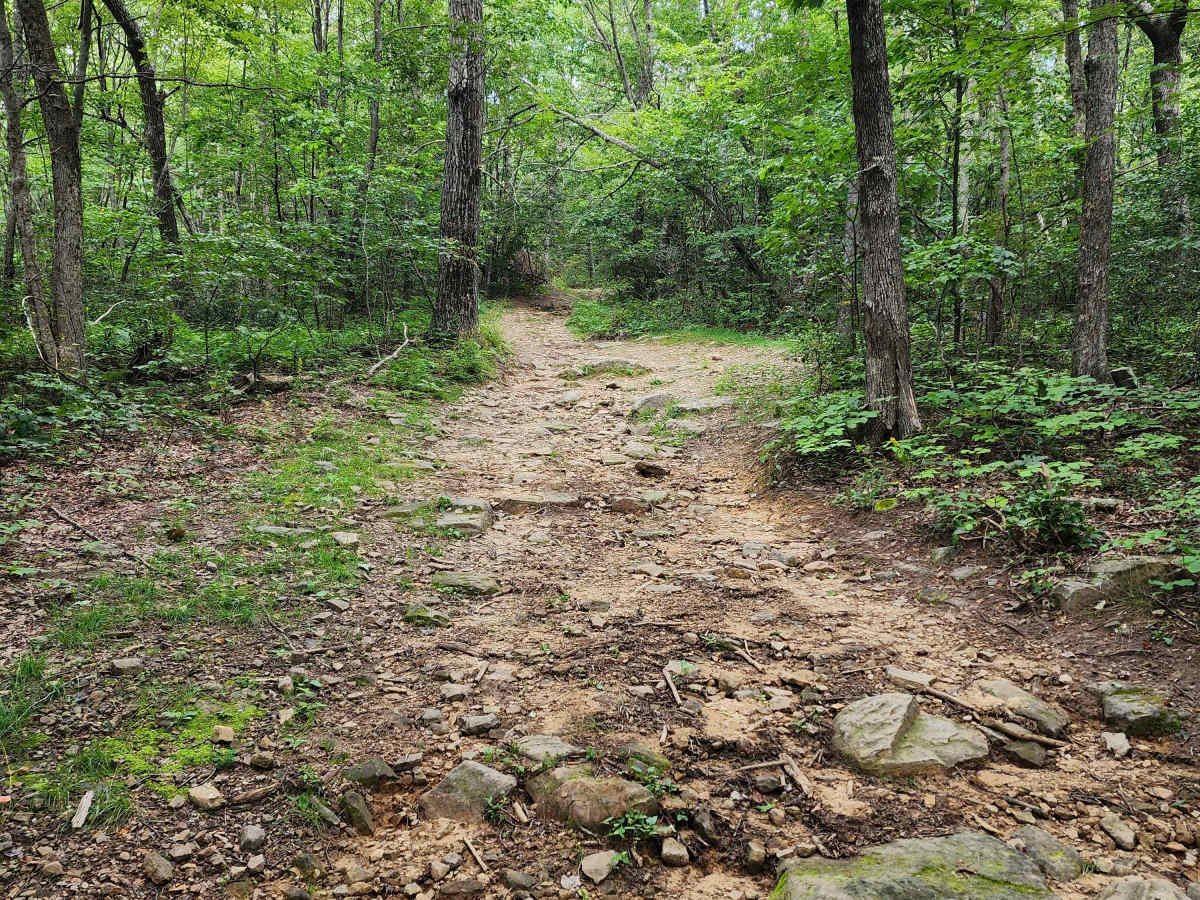 Rocky Run photo 4
