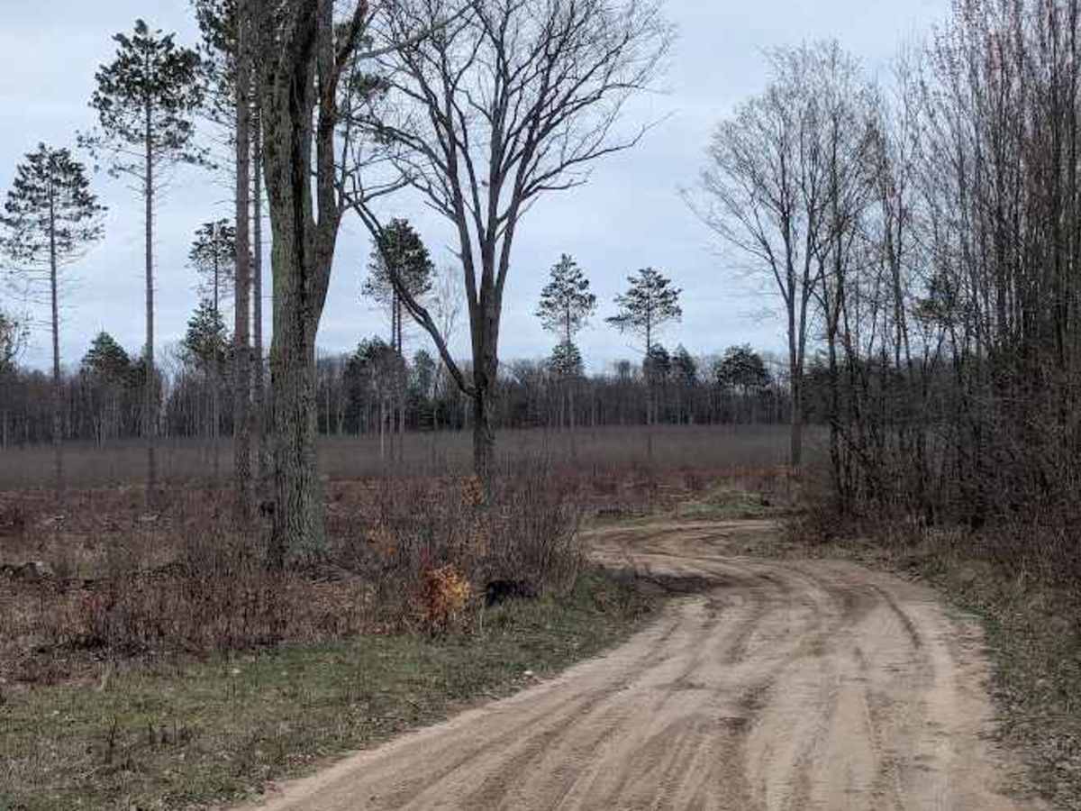 Riske Road photo 3