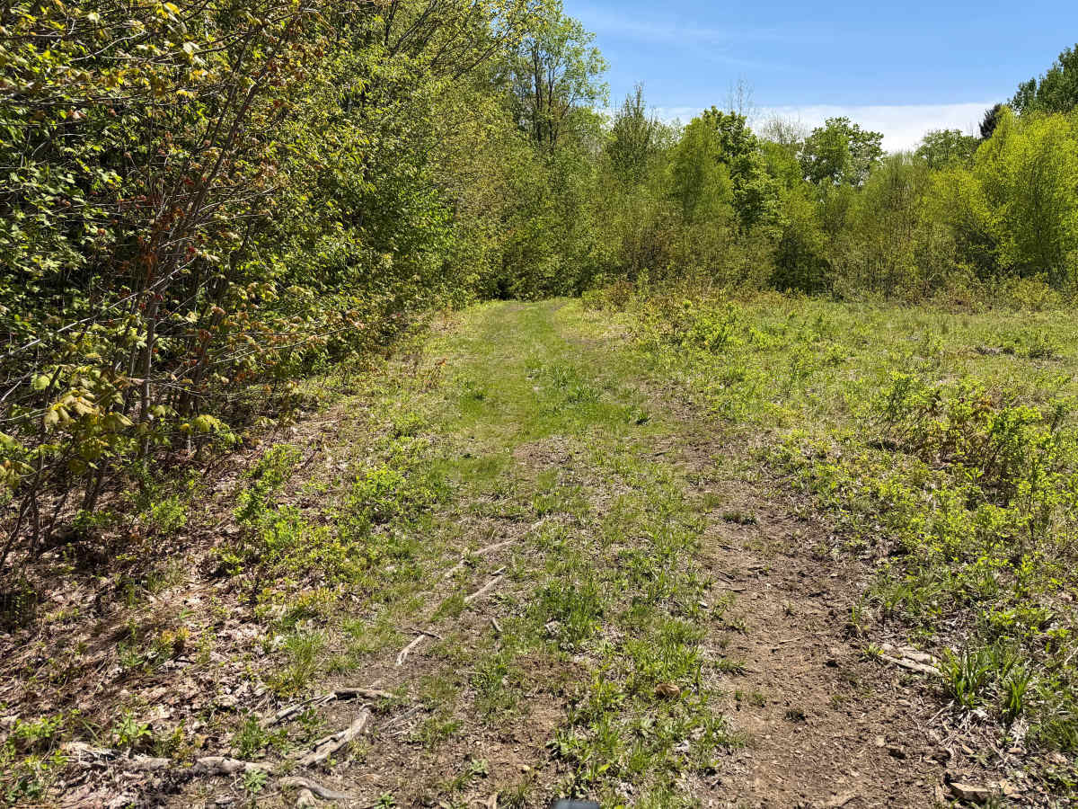 Bauer Wooded Spur Trail photo 4