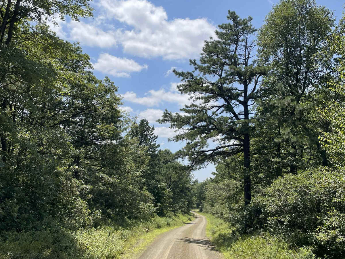 Sand Mountain Road photo 2