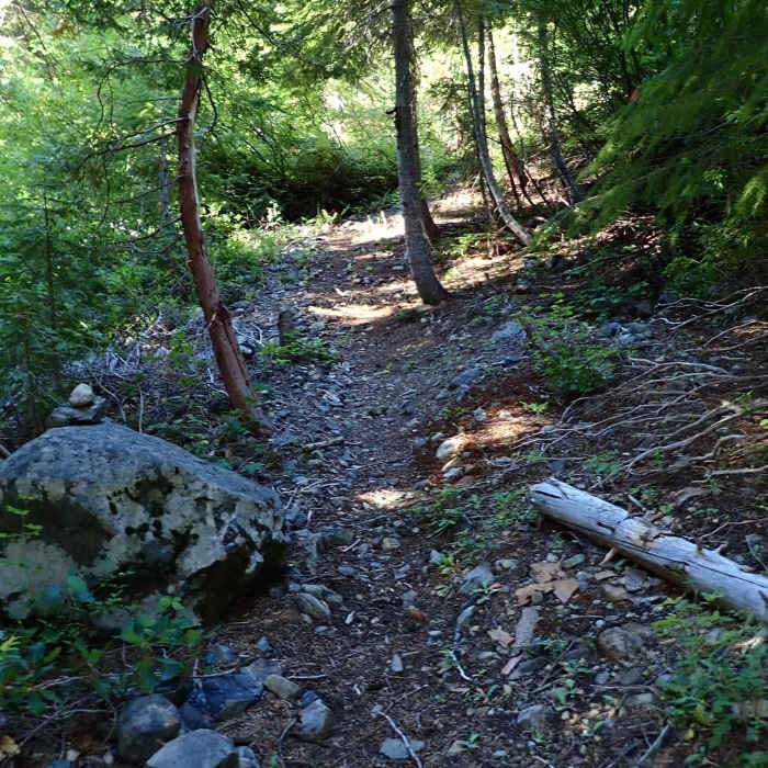 Near Green Valley Trail #904
