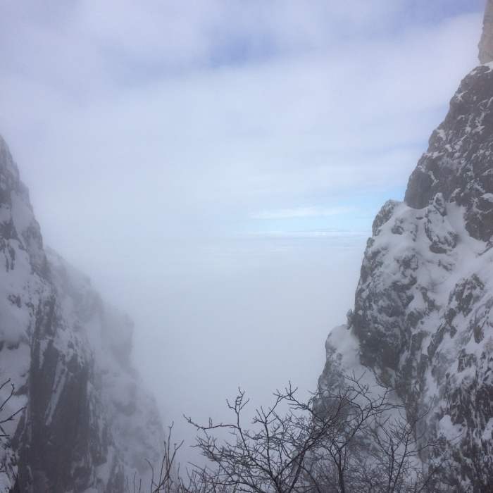 Near Organ Needle Trail