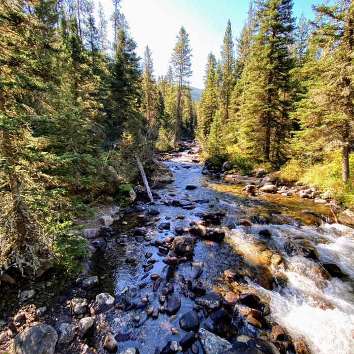 Near Hell Roaring Creek Trail CE