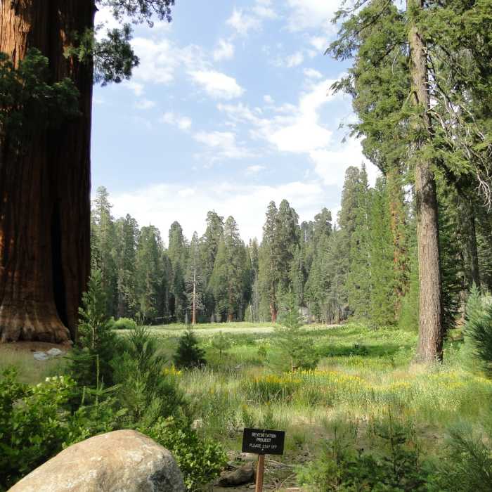 Near Bear Hill Trail
