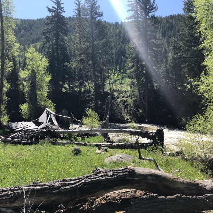 Near Mad Creek Trail