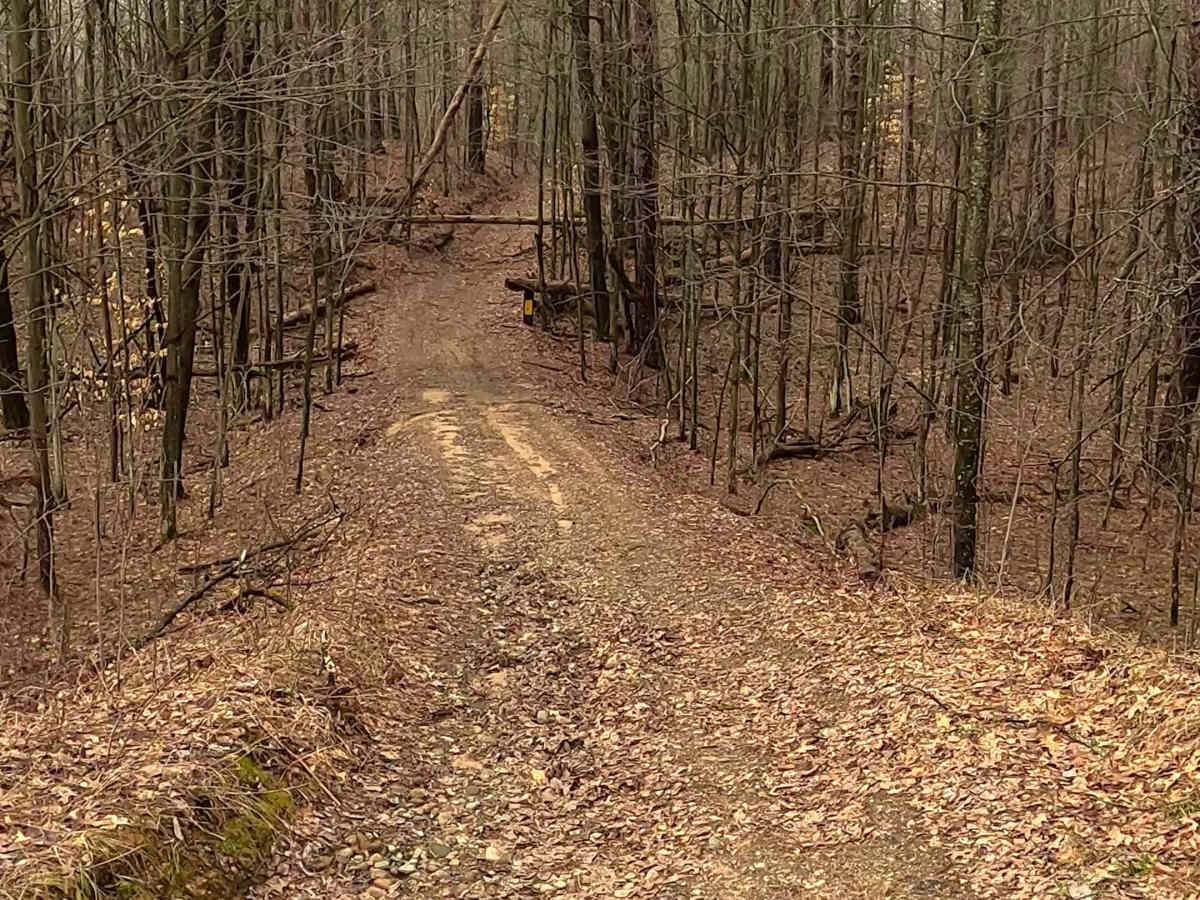 ORV H-57 : Mack Lake Loop Trail South photo 5