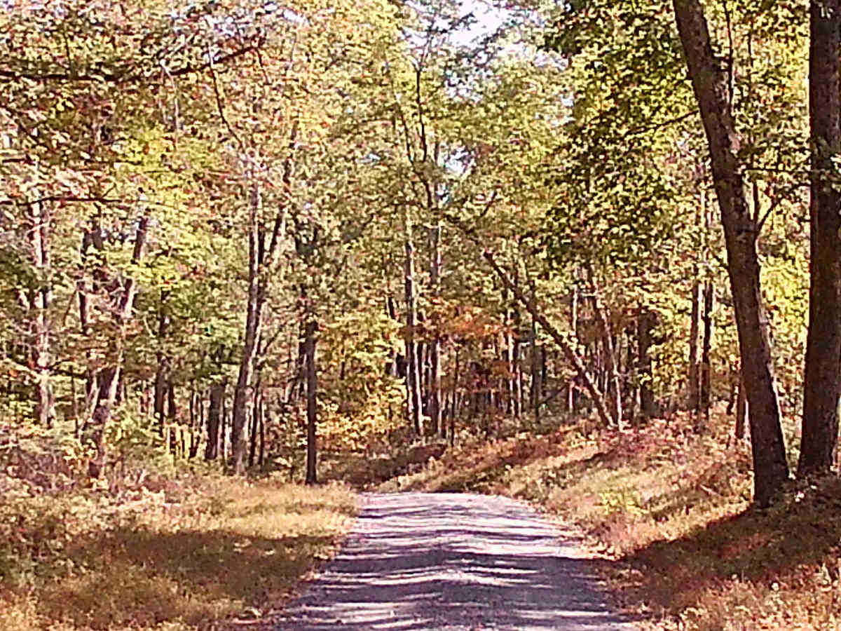 Spruce Mountain Road photo 5
