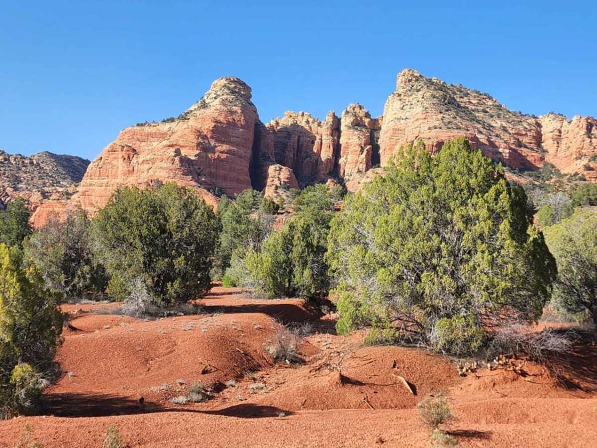 Henderson Flat trail photo