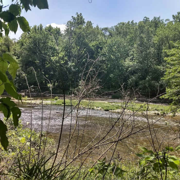 Near Marott Park North Loop